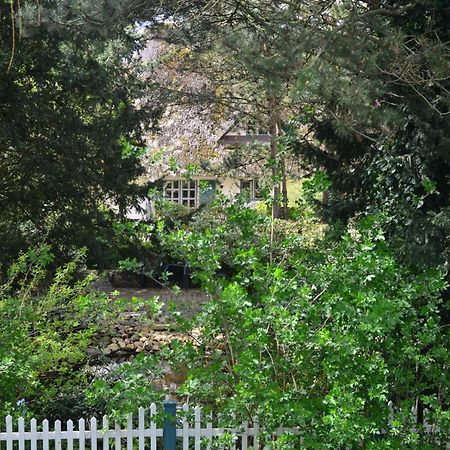 Ferienhof Tom Diek Йорк Екстериор снимка